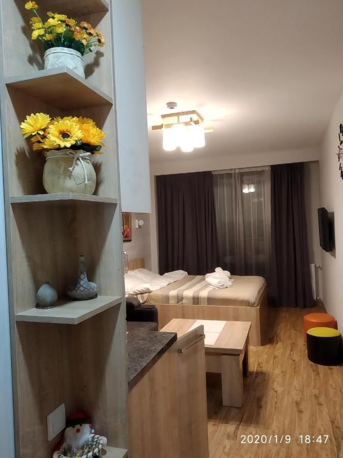 Отель New Gudauri loft Гудаури-20