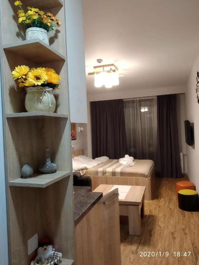 Отель New Gudauri loft Гудаури-19